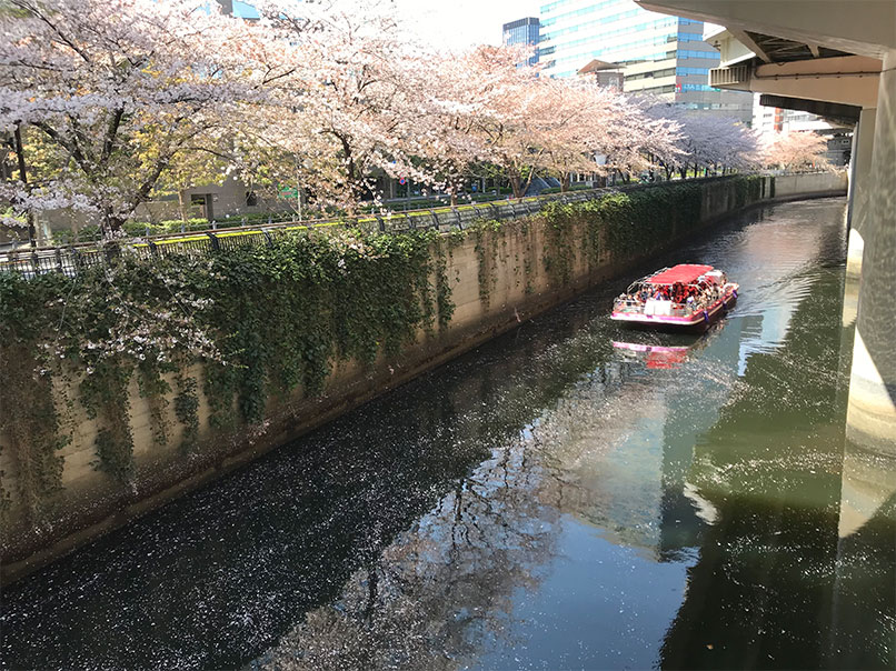 千代田のさくらまつり・船